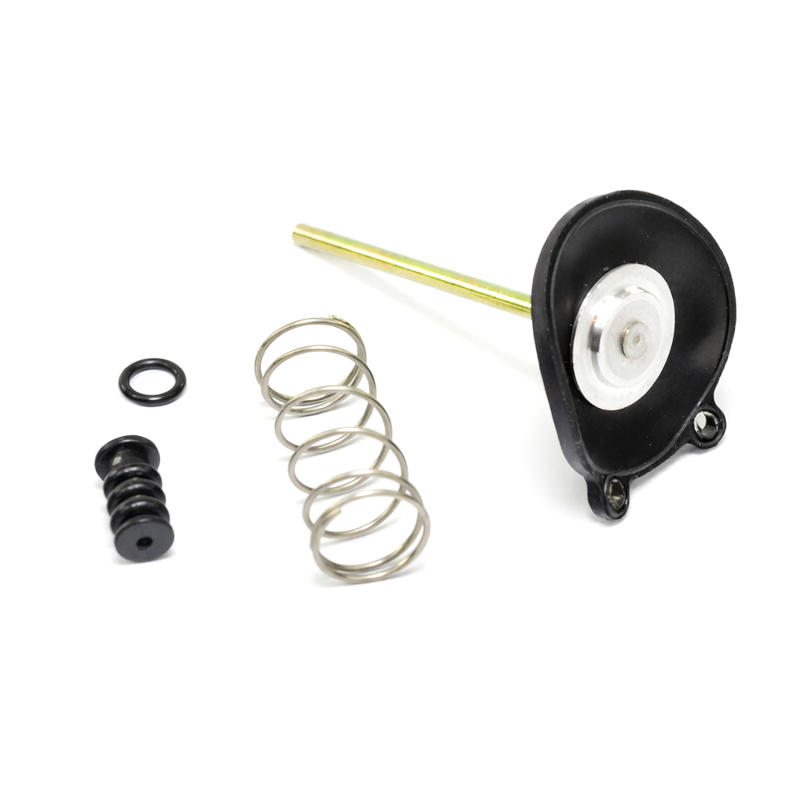 Accelerator Pump Diaphragm Kit